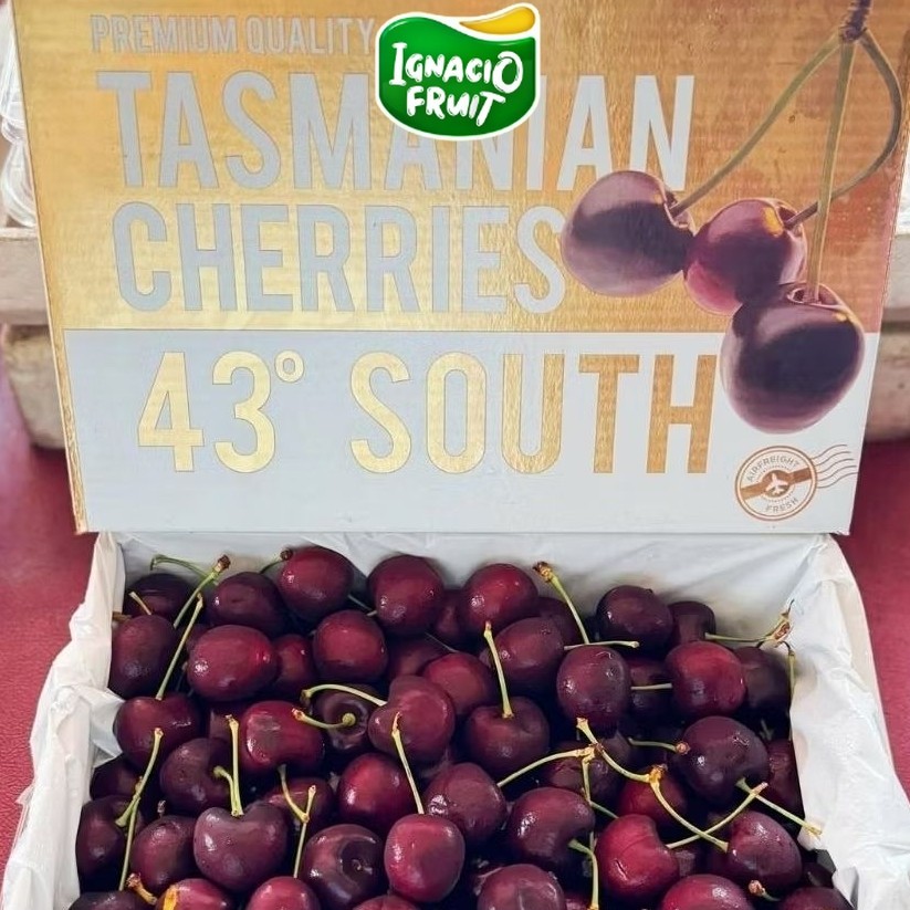 [INSTAN] CHERRY TASMANIA 1 DUS IMPORT
