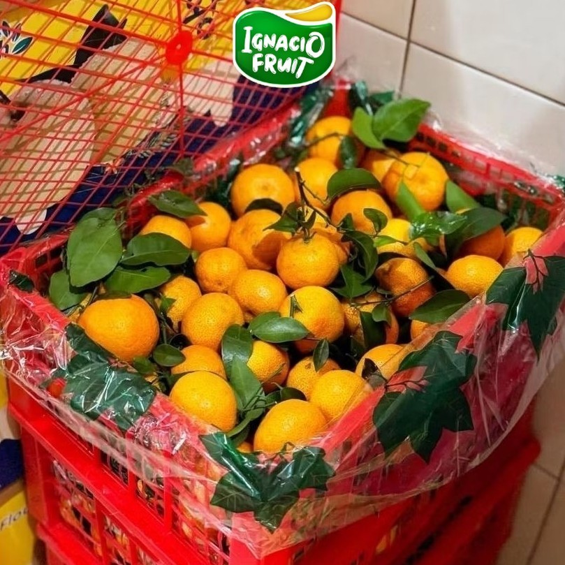 [INSTAN] PAKET 1 KRAT KERANJANG JERUK SANTANG DAUN MADU (-+6KG) MANIS NON BIJI