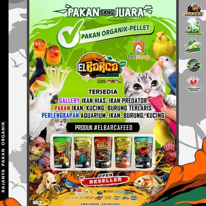 Aquaic- Elbarcafeed Pelet Bunga Channa Maru Ys Red Maru Pakan Progress Cabung Pecah Bunga Makin Soli