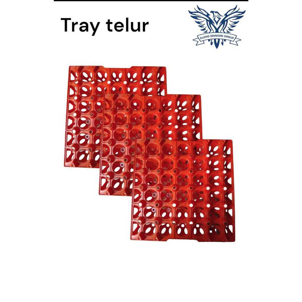 (READY STOK) Egg Tray , Tray Telur Plastik Besar isi 30 Tempat menyimpan Telur Ayam Bebek dll Medion