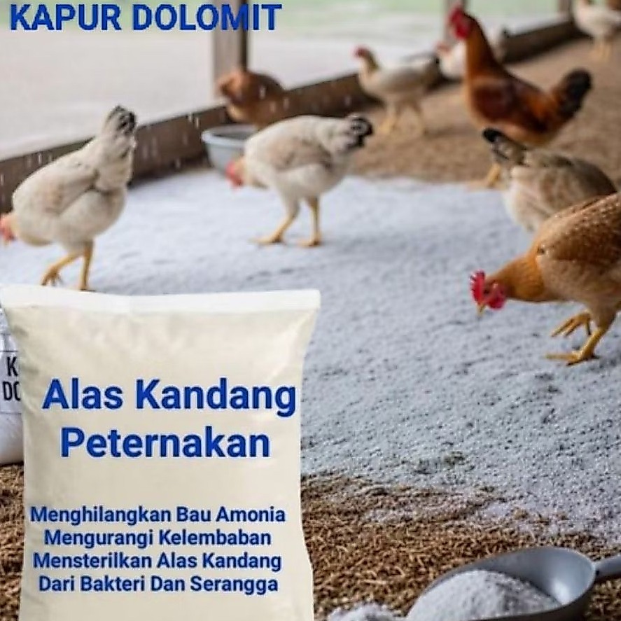 Kapur Dolomit Untuk Kandang 1kg Ayam, bebek mencegah bau Amoniak