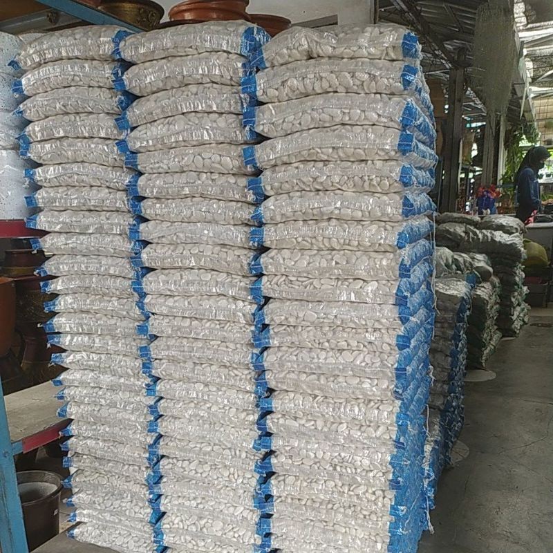 BATU HIAS KORAL PUTIH KUPANG KARUNG 12 KG/BATU TAMAN/BATU PUTIH