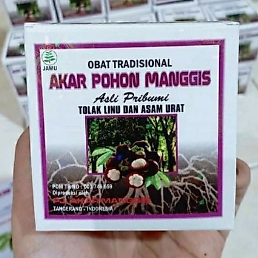 Akar pohon manggis kapsul sb herbal ASLI