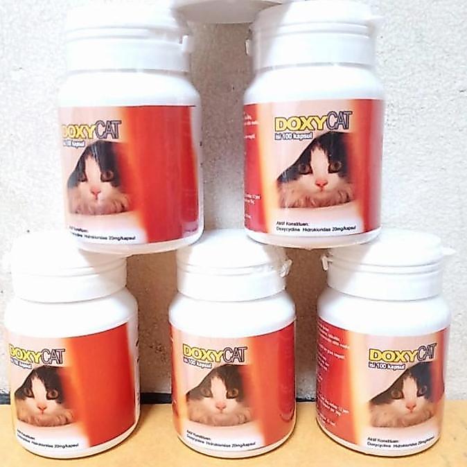 obat flu kucing organic doxy cat isi 50 tablet/botol Diskon