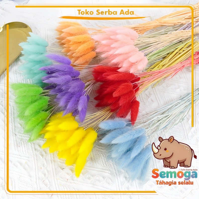 Paket 10 Batang Bunga Kering Bunny Tail, Rumput Permata Bunga Asli Awet Lama Hiasan Ruang Gaya Insta