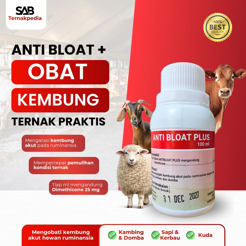 Obat Kembung Ternak - Anti Bloat Plus 100 ml - Mirip Banget Sama Tympanol - Obat Kembung Sapi