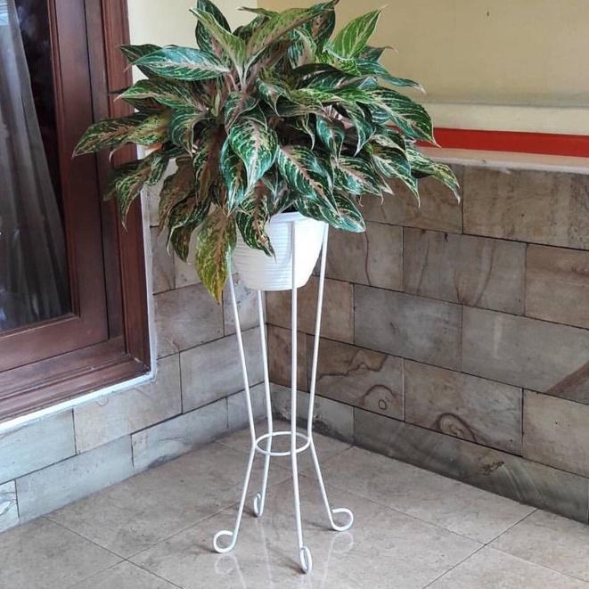 STANDING POT BESI / STANDING POT ELEGAN - PUTIH, TINGGI 50CM
