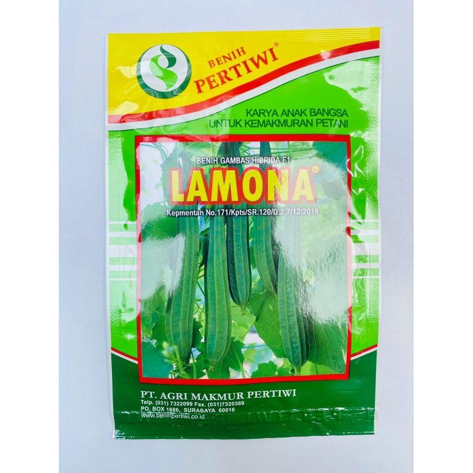 [Stok Baru] BENIH GAMBAS OYONG HIBRIDA F1 LAMONA dr PERTIWI