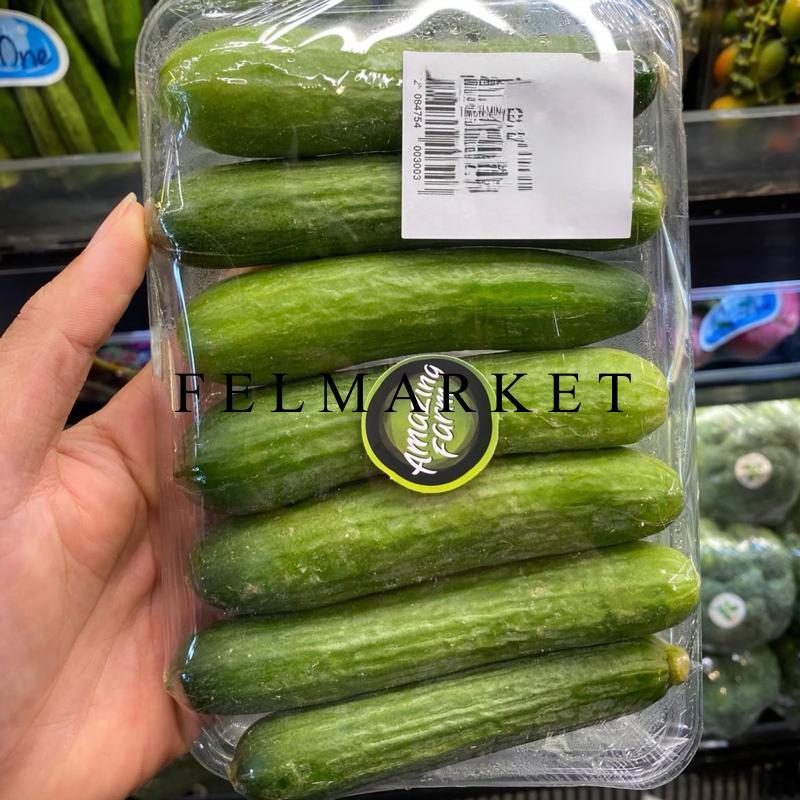 Timun Baby Fresh / Baby Cucumber / Timun Mini 1 Kg