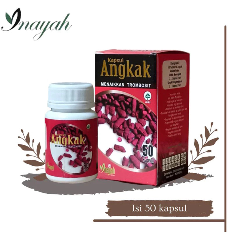 Kapsul Angkak Beras Merah Obat DBD Types / Kapsul Angkak Inayah (06)