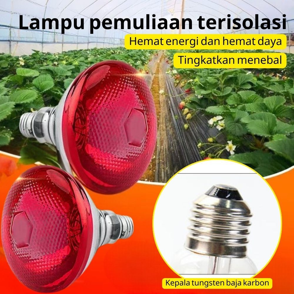 Kompom lampu pemanas ayam betina lampu ternak khusus pemanas pemanas