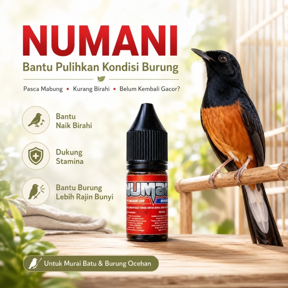 NUMANI Umpamane Kicau Vitamin Burung Pasca Mabung Bantu Pulihkan Kondisi Burung Belum Gacor untuk Mu