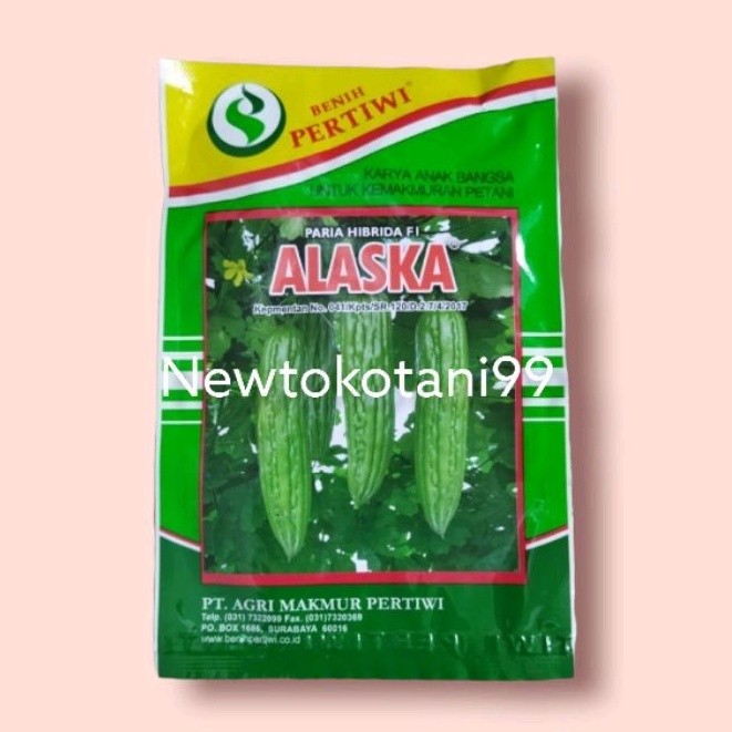 Benih paria ALASKA F1 10 gram pare hibrida alaska dari benih pertiwi STMJsby