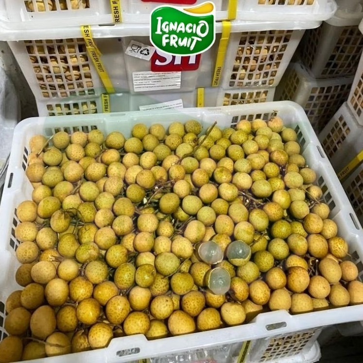 [INSTAN] 1 KRAT KELENGKENG MAS CH NEW [ ±11kg ] FRESH IMPORT IGNACIOBOX