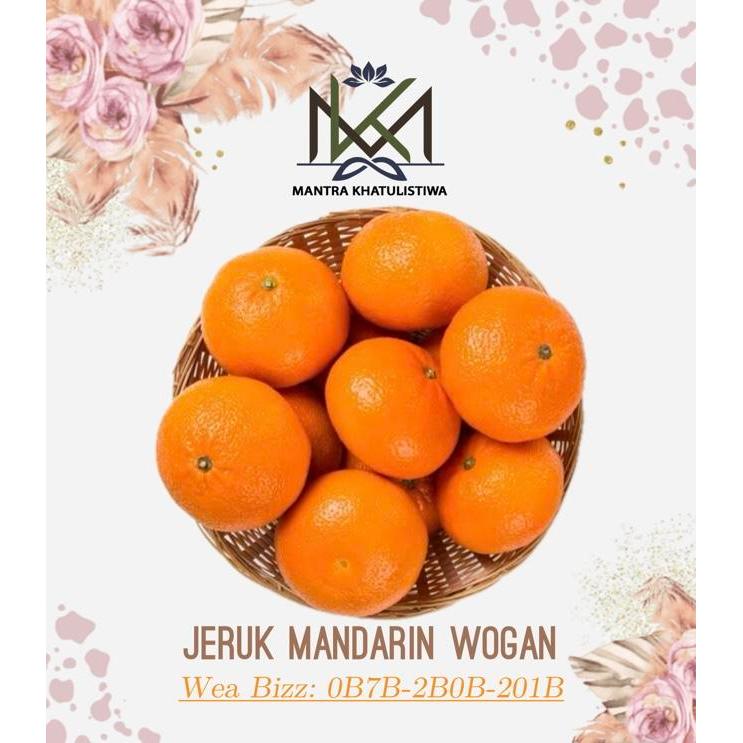 JERUK MANDARIN WOGAN JERUK MANDARIN WOKAM IMPORT