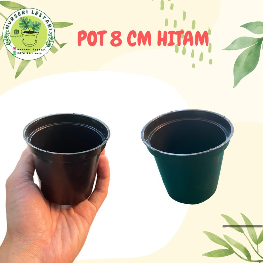 Pot Plastik Kecil 8 cm Hitam Murah