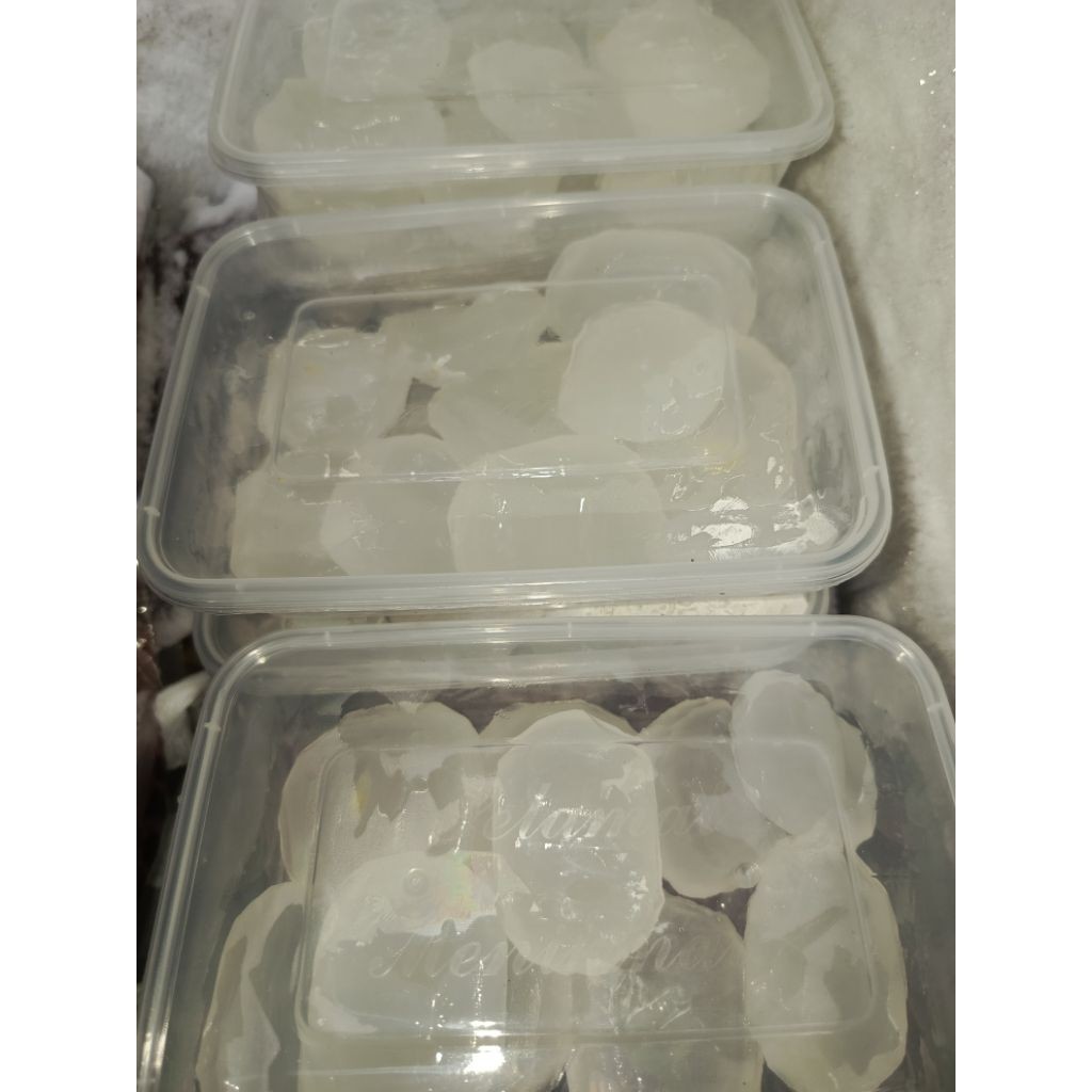 BUAH LONTAR KUPAS BERSIH FROZEN ISI 9 BUAH | BUAH LONTAR SIWALAN | BUAH SIWALAN | SARI BUAH LONTAR |