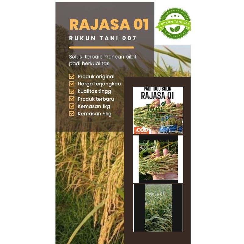 PADI RAJASA01 1KG