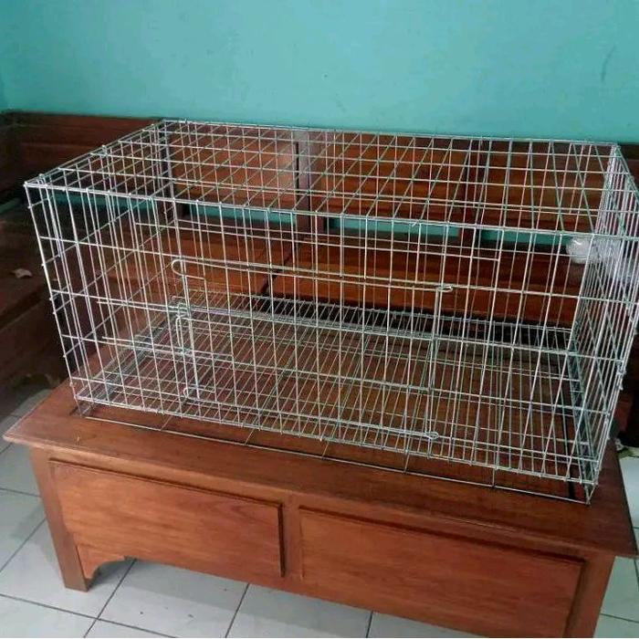 Kandang Kucing Galvanis untuk Anjing dan Kelinci - Kandang Hewan Peliharaan