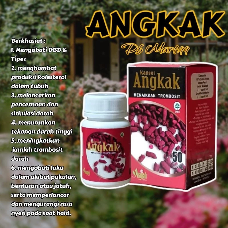 Kapsul Angkak Beras Merah Obat DBD Types / Kapsul Angkak Inayah (015)