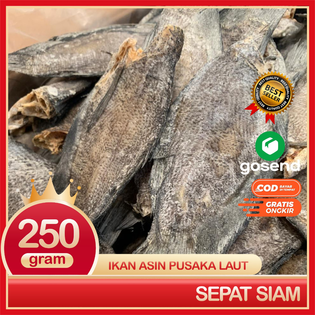 Sepat Siam Ikan Asin Sepat Super Bersih Dan Segar 250 Gram
