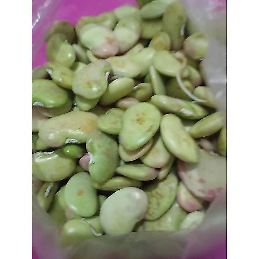 Sayur Kacang Koro mentah