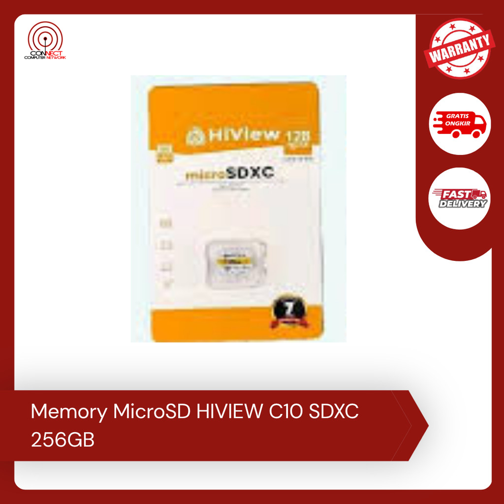 Memory MicroSD HIVIEW C10 SDXC 256GB