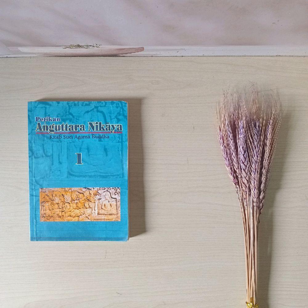 Petikan Anguttara Nikaya 1 - Kitab Suci Agama Buddha