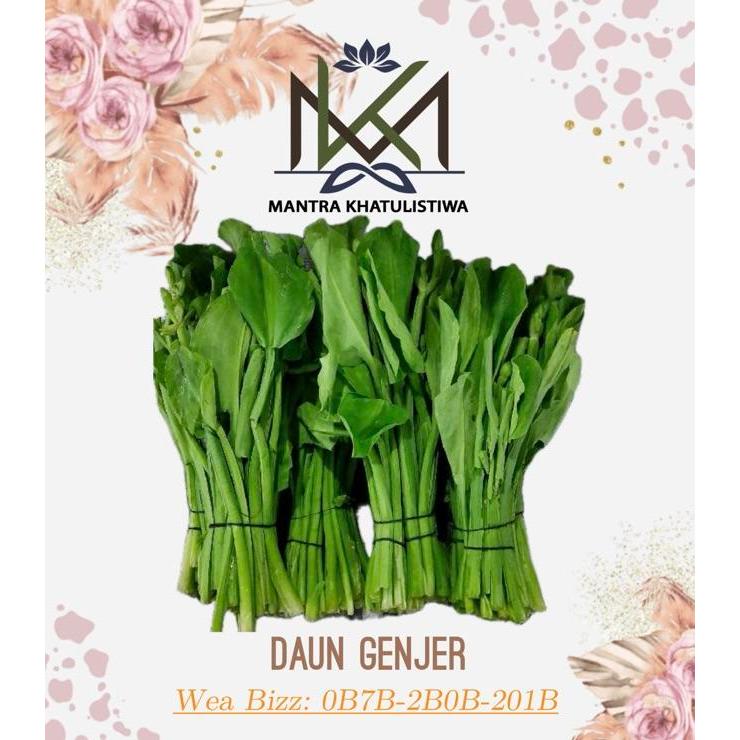 DAUN GENJER SEGAR SAYUR GENJER FRESH BUNGA GENJER