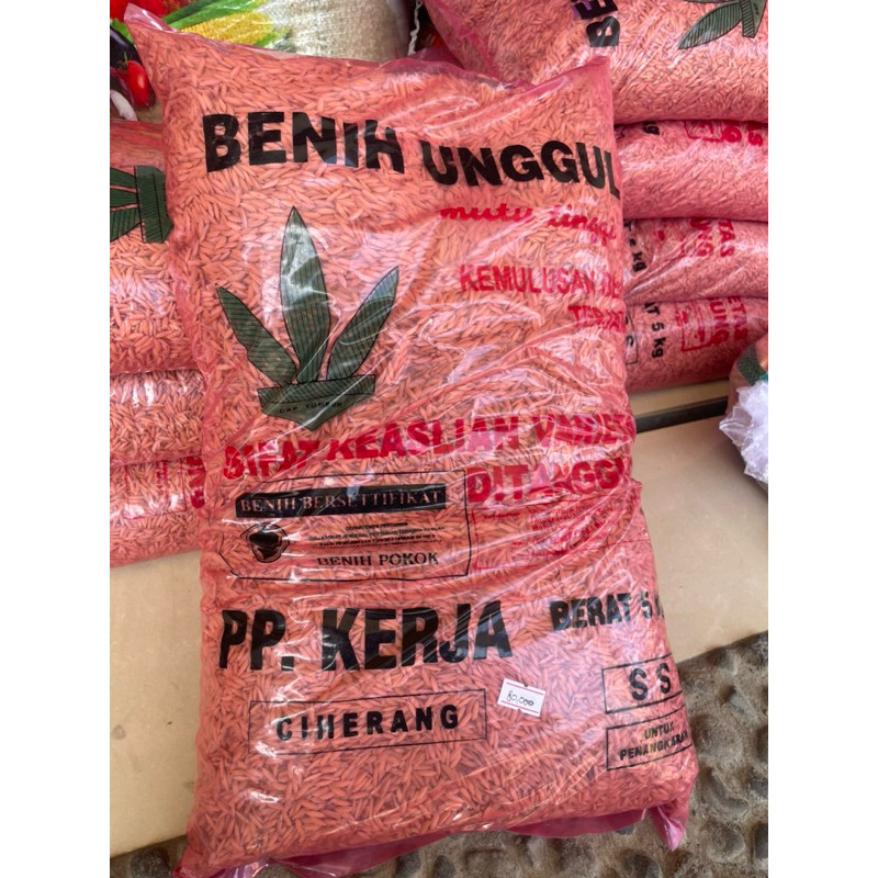 Benih padi CIHERANG PP KERJA BOYOLALI 5 KG