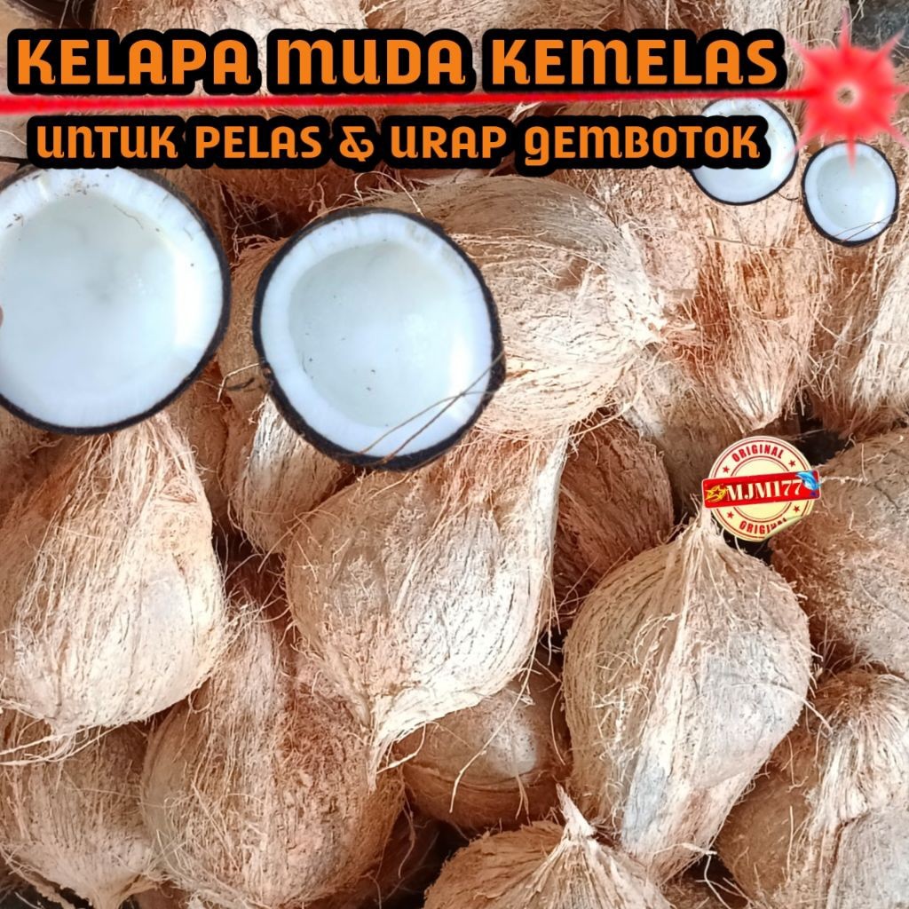 kelapa muda/kemelas bahan untuk urap & pelas/botok jajan kue ukuran C