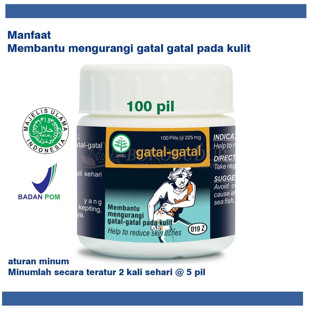 obat gatal gatal pada kulit - herbal gatal gatal diminum gatal-gatal borobudur 100 pil