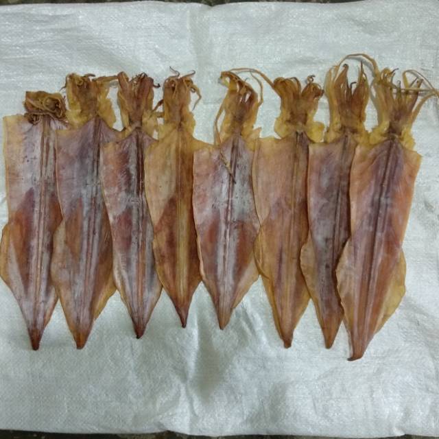 Nos / Sotong Kering / Cumi Kering (besar) dried cuttlefish ukuran 15-25 cm    BERKUALITAS