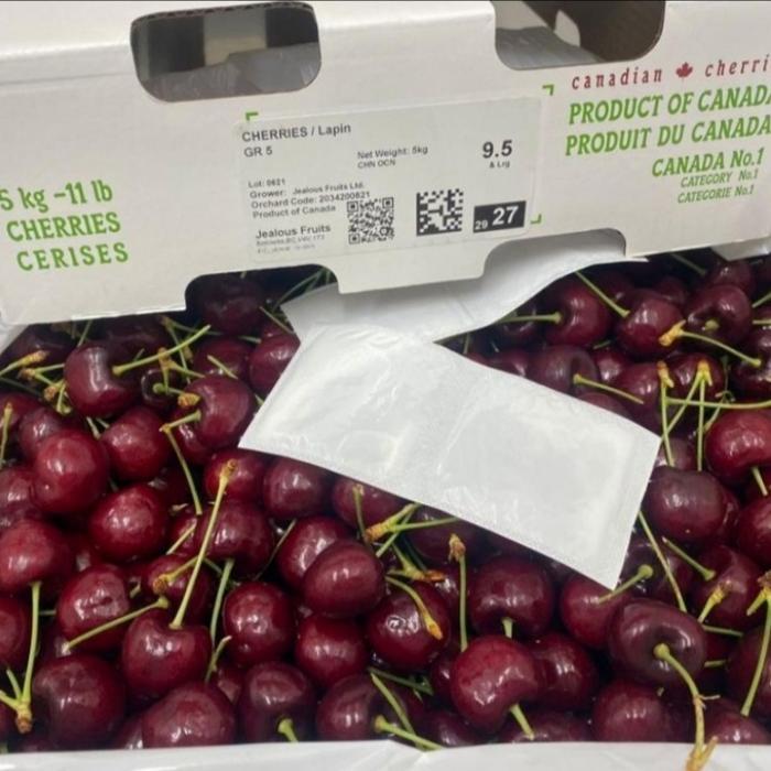 Buah Cherry Import Canada 1 Pack