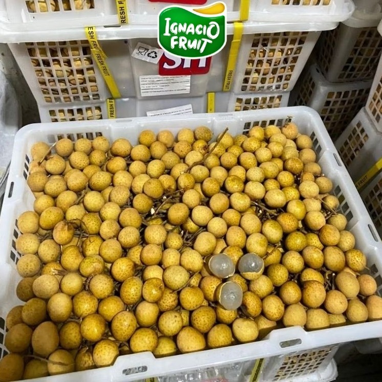 [INSTAN] 1 KRAT KELENGKENG MAS CH NEW [ ±11kg ] FRESH IMPORT IGNACIOBOX