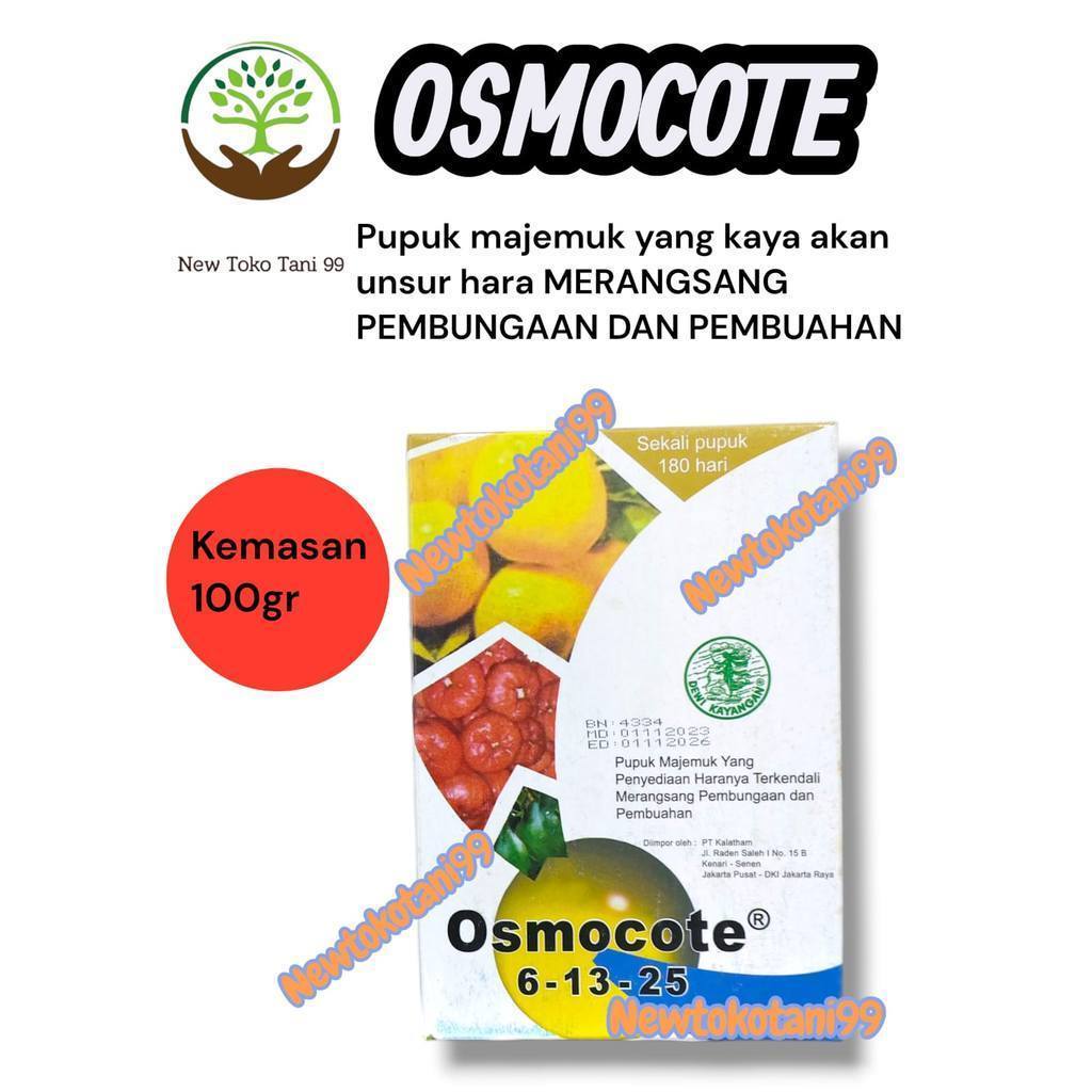( 100gr ) Pupuk OSMOCOTE 6-13-25 kemasan 100 gram pupuk perangsang bunga dan buah pada tanaman, kaya