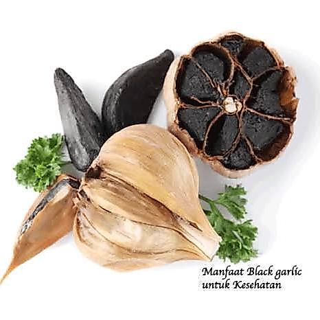 READY Black Garlic Kating 500 Gram Bawang Hitam Kating 1/2 Kg Obat Herbal Organik Alami