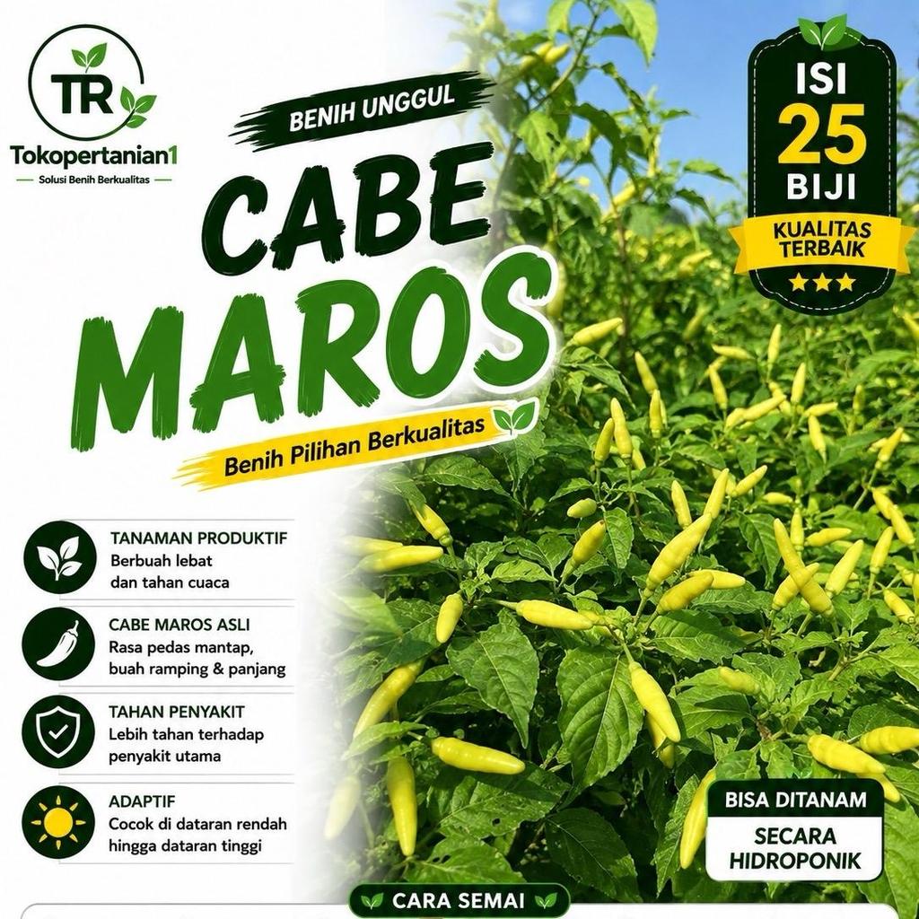 Benih biji cabe Maros isi 25 biji bergeromboll