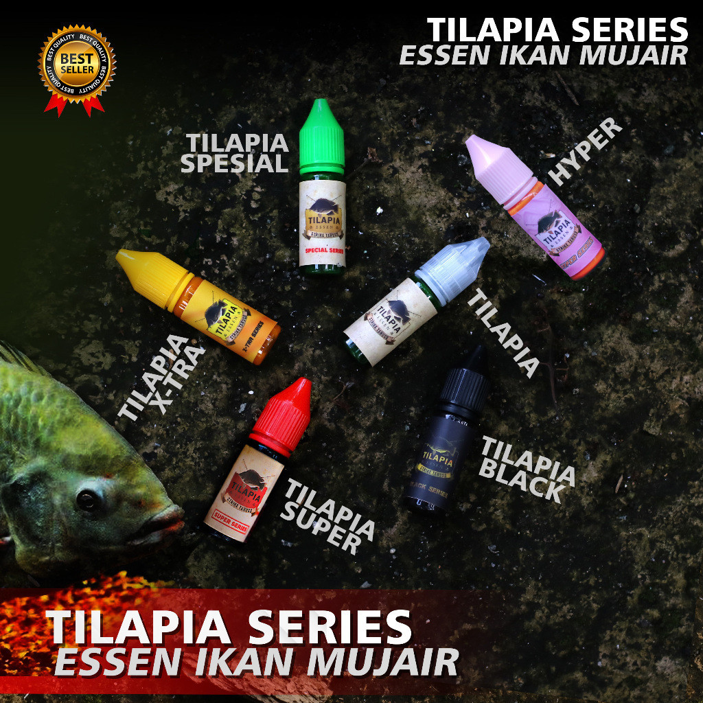 best gacor full ORIGINAL TILAPIA ESSEN IKAN NILA IKAN MUJAER IKAN MUJAIR LUMUT LUKUT