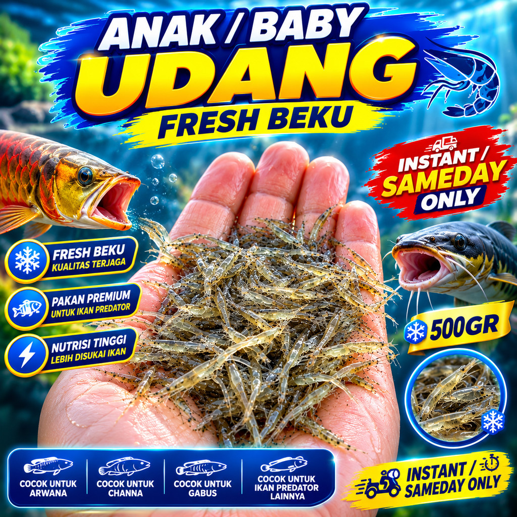 udang beku fresh rebon baby halus KHUSUS ANAKAN PREDATOR 500gr pakan ikan arwana channa gabus makana