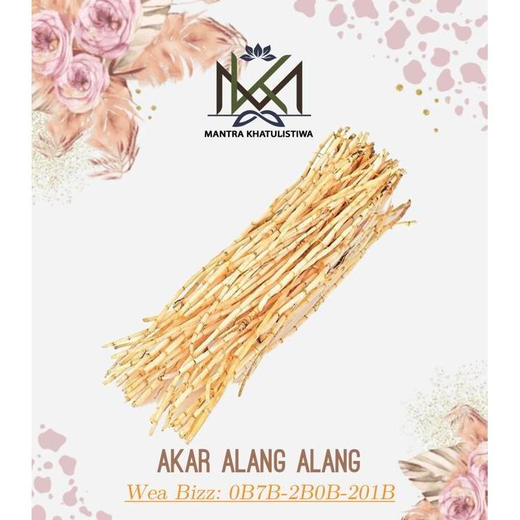AKAR ALANG ALANG FRESH AKAR ALANG ALANG HERBAL PILIHAN