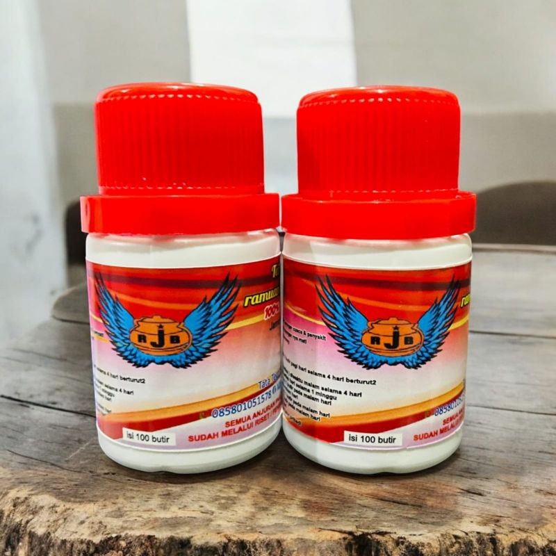 JAMU RJB JAMU MERPATI RJB MENAMBAH STAMINA DAN POWER BURUNG MERPATI