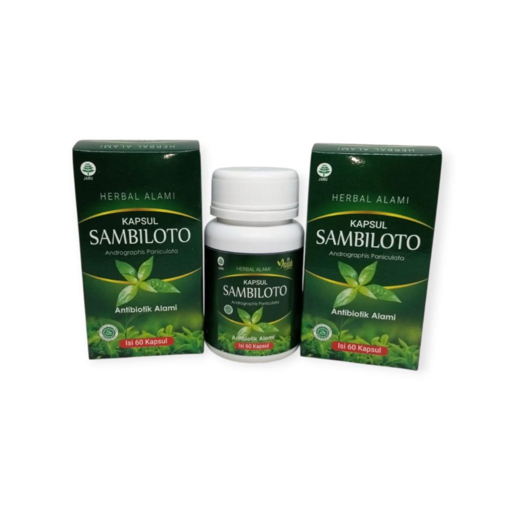 kapsul sambiloto Inayah 60 kapsul antibiotik herbal alami sambiloto