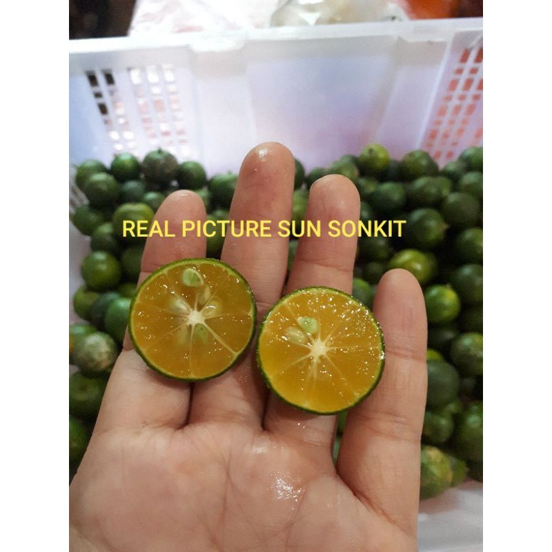 

JERUK SONKIT 1KG / JERUK KASTURI / JERUK KUNCI / LEMON CUI