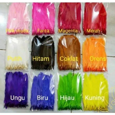 ⭐️READY⭐️ BULU AYM / BULU AYAM WARNA WARNI / BULU AYAM HIAS / AKSESORIS BULU AYAM