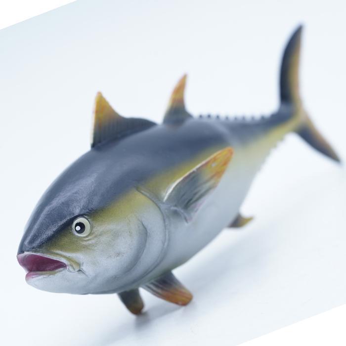 TNG YELLOWFIN TUNA Thunnus Albacares Tuna Sirip Kuning Madidihang Mainan Ikan Fish Fure Binatang Min