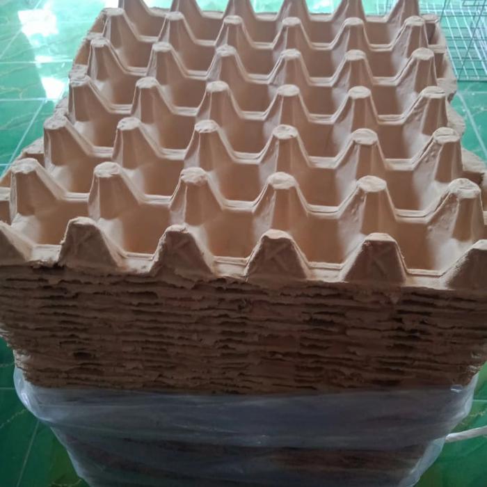 egg tray karton jemur lokal