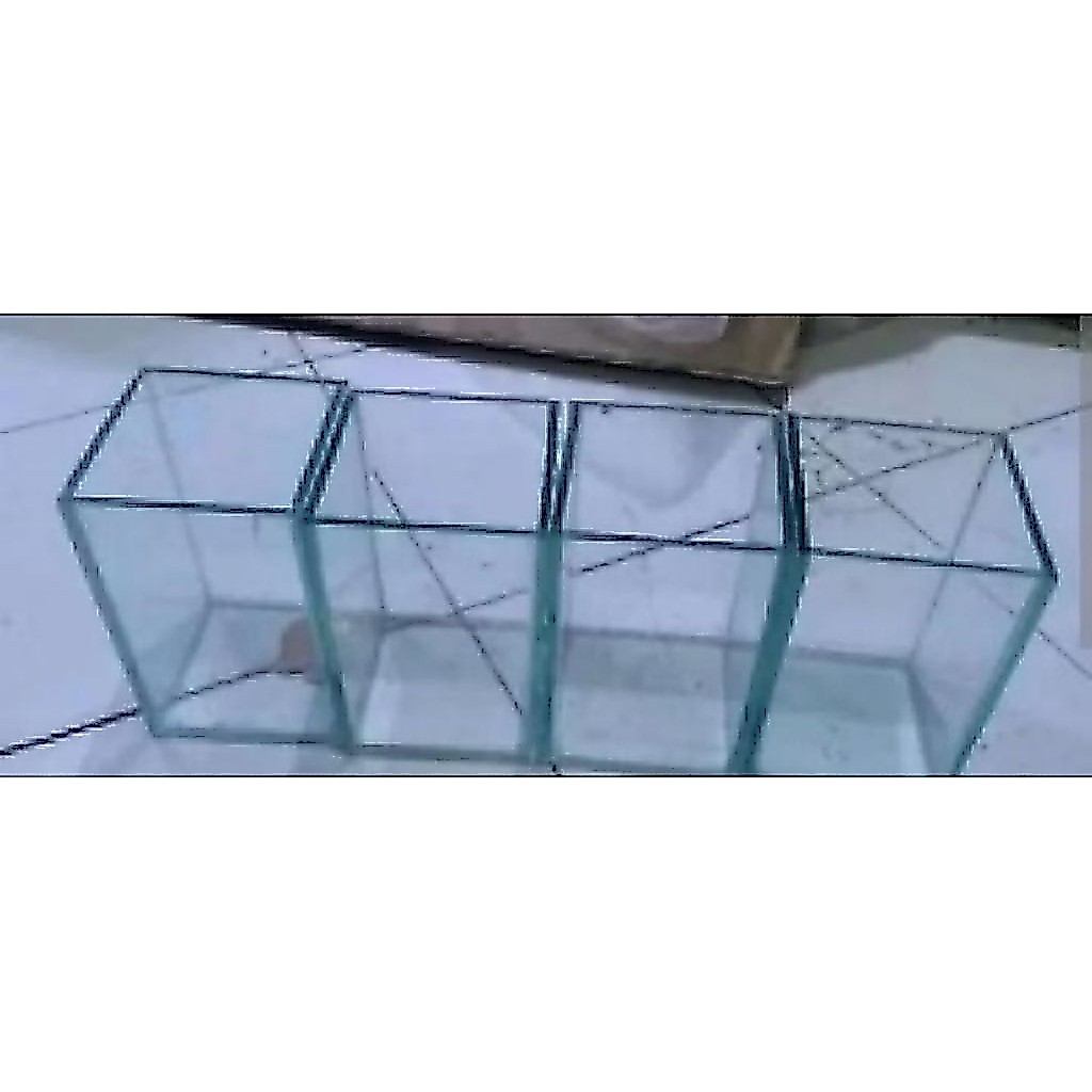 Soliter Cupang Guppy Ukuran 10 cm*10 cm*15 cm Aksesoris Akuarium |Ikan Hias Bozz Louhan|