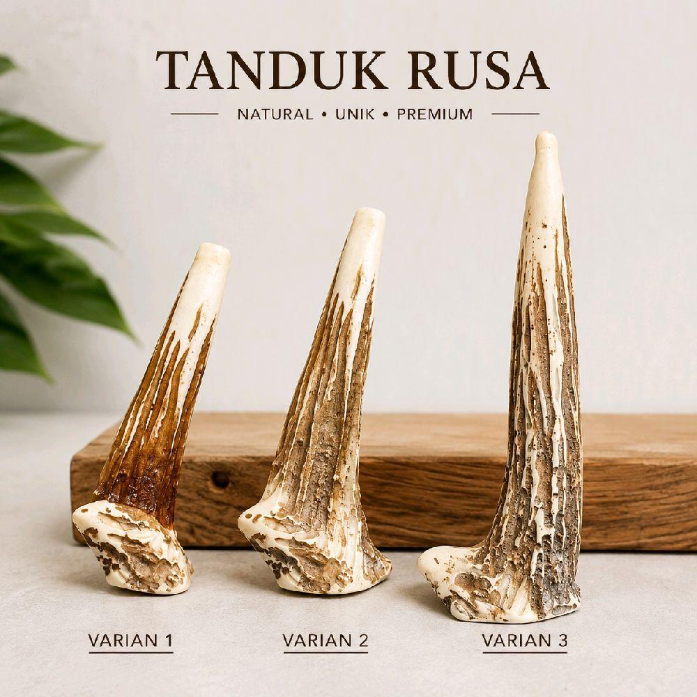 Pipa Rokok Tanduk Rusa Minimalis Unik Premium 3 Varian