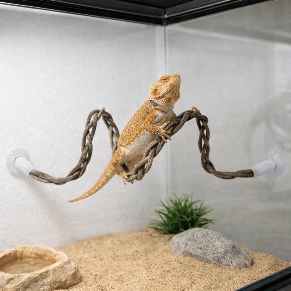 Dekorasi Terrarium, Hammock Kadal dengan Suction Cup, Simulasi Pohon Rambat, Tali Panjat Ular yang S